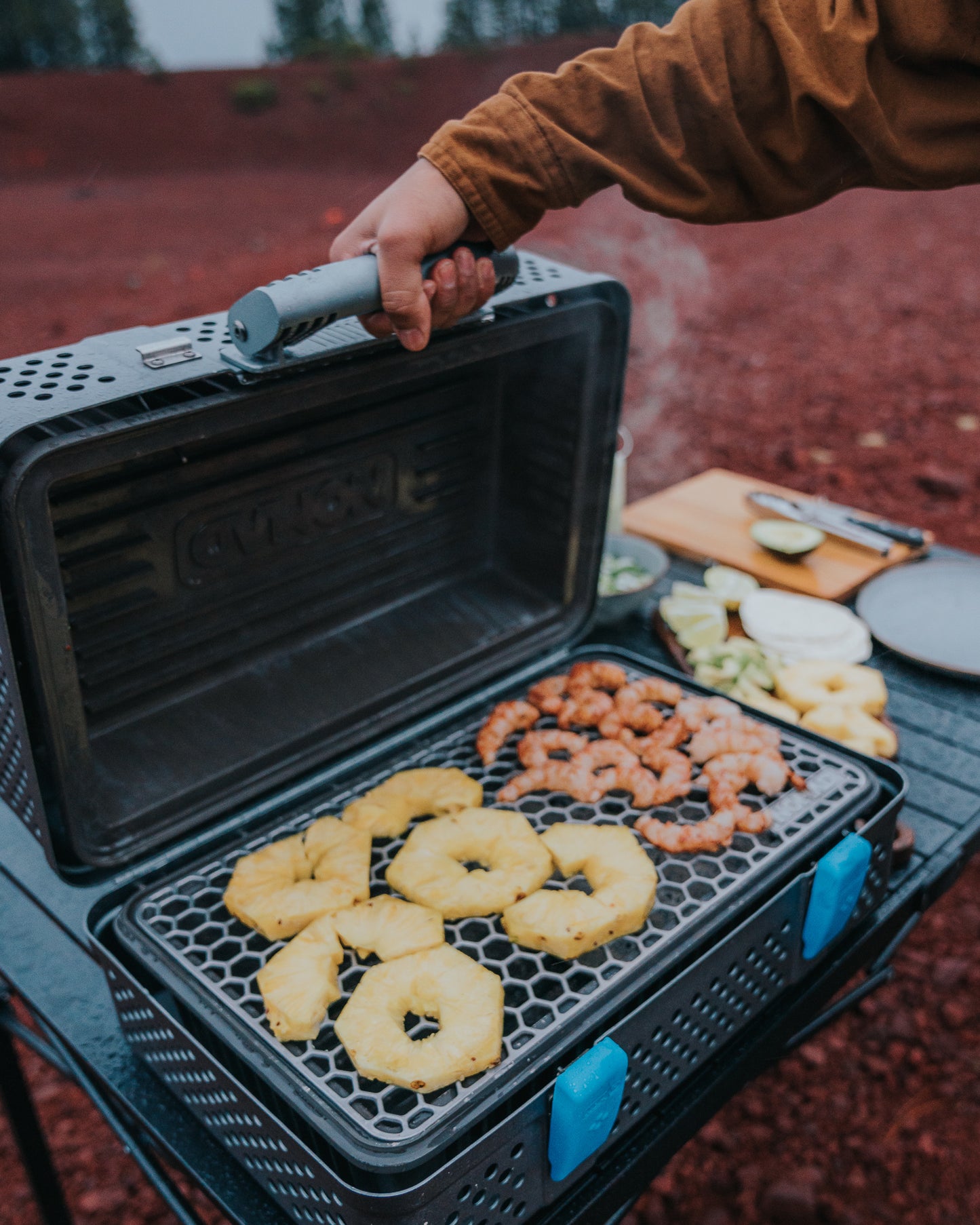 NOMAD Grill & Smoker