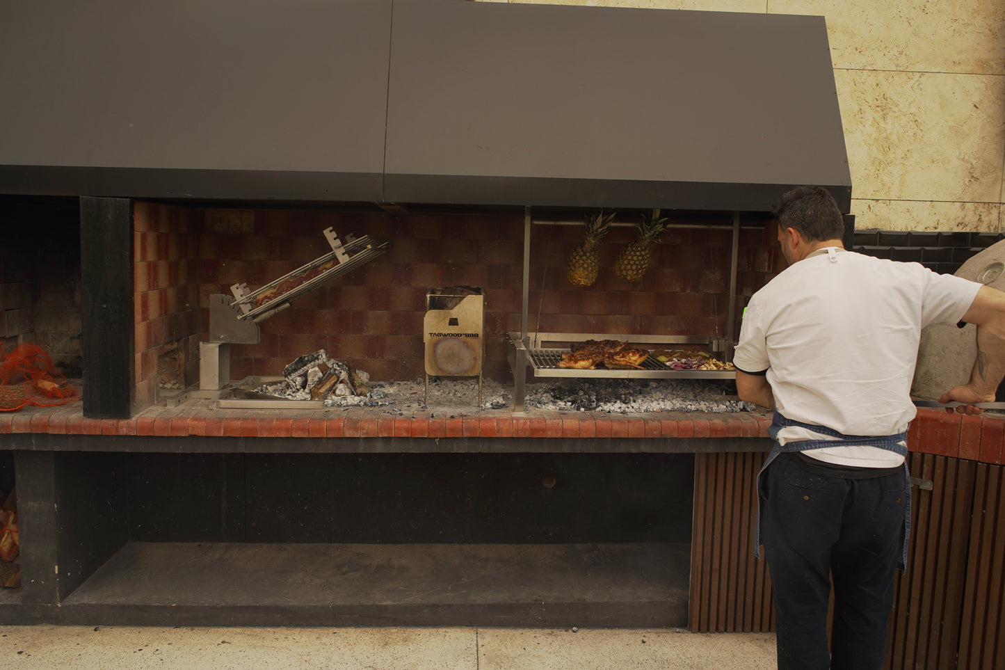 Tagwood BBQ Insert Style Argentine Santa Maria Wood Fire & Charcoal Gaucho Grill without firebricks | BBQ09SS --