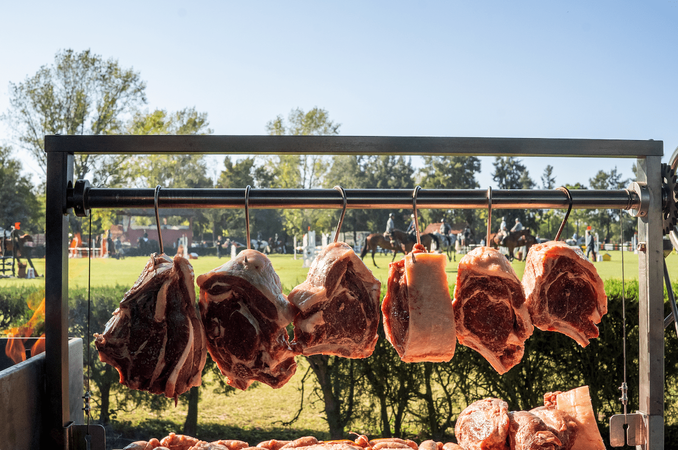 Tagwood BBQ S shape meat hooks ( set of 7) | BBQ56SS