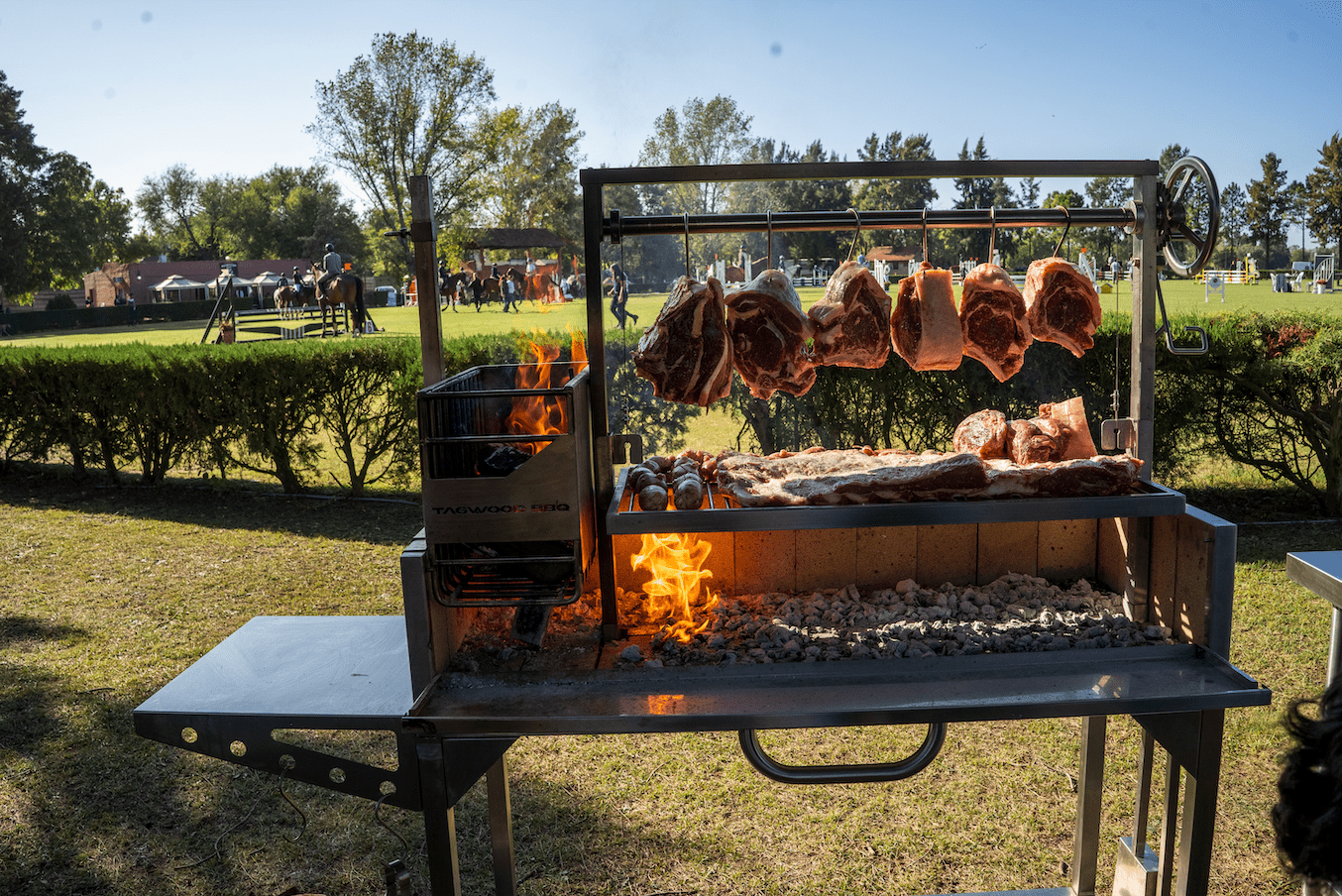 Tagwood BBQ S shape meat hooks ( set of 7) | BBQ56SS