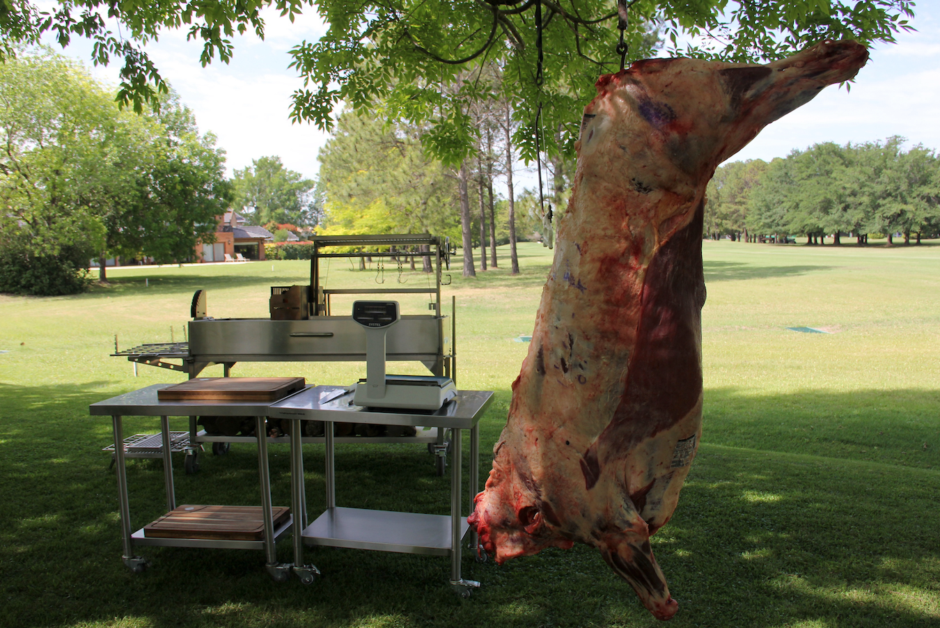 Tagwood BBQ Argentine Santa Maria Wood Fire & Charcoal Gaucho Grill | BBQ26SS --