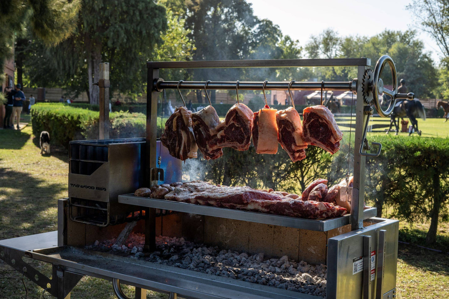 Tagwood BBQ S shape meat hooks ( set of 7) | BBQ56SS