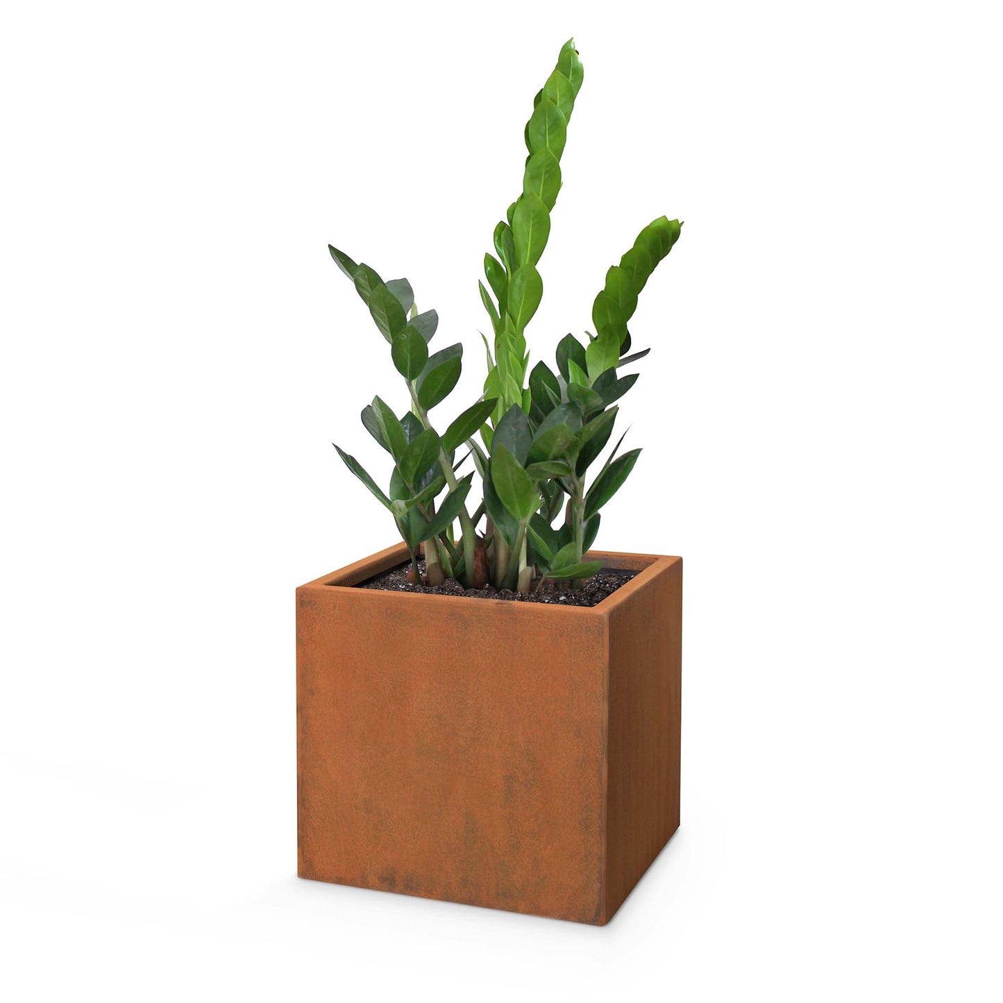 Square Moderna Corten Steel Planter - 20" x 20"