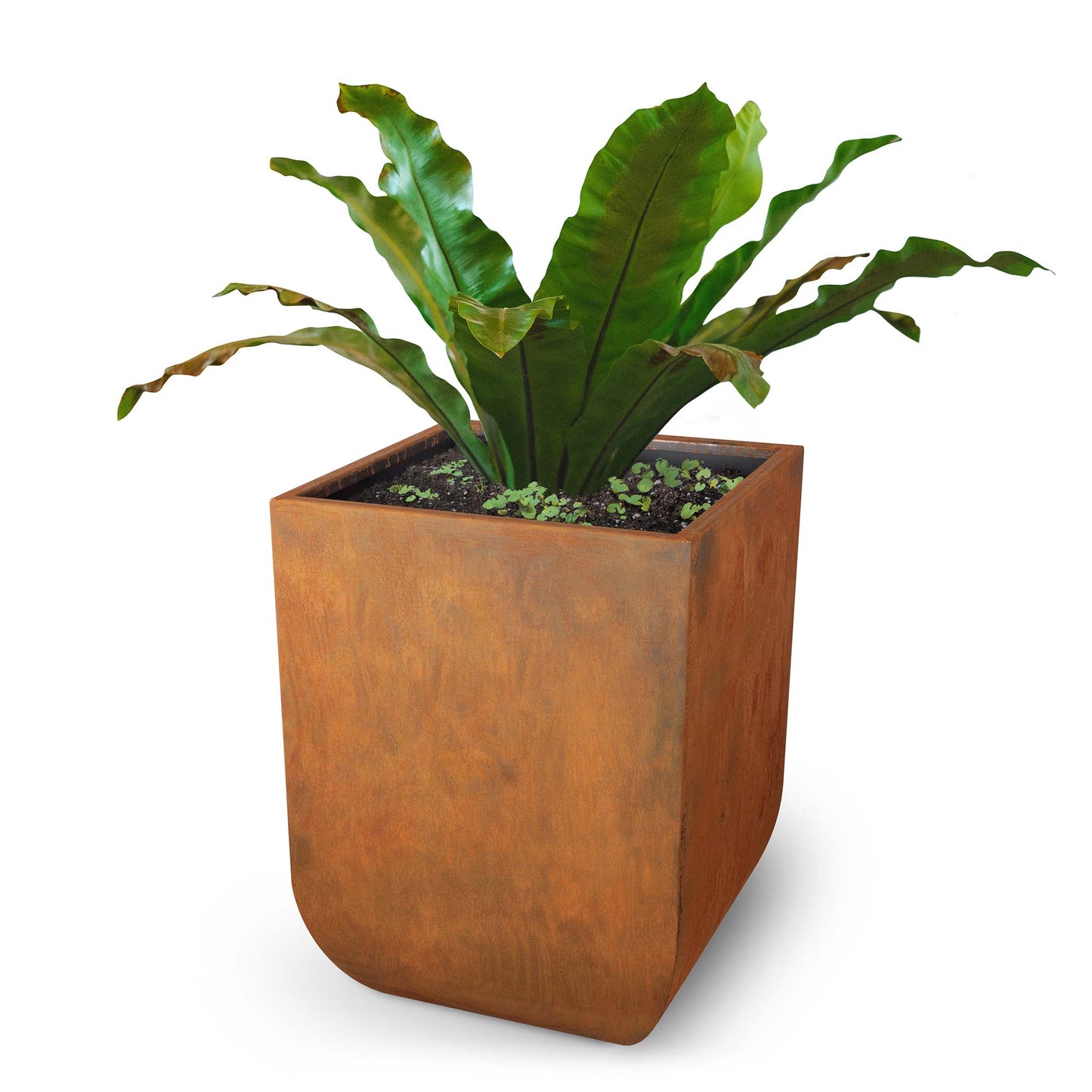Vertical Tucson Corten Steel Planter - 26" x 26"