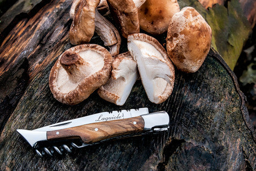 Laguiole Style de Vie Pocket Knife Corkscrew Olive Wood